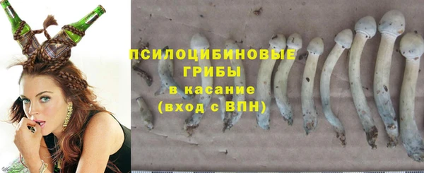 тгк Балабаново